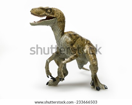Dinosaur called velociraptor on white background Dinosaur called velociraptor on white background