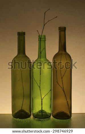 Composition with empty wine bottles and branches