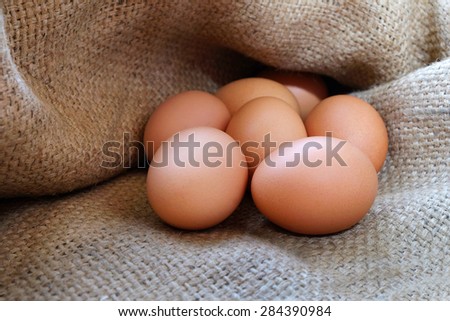 EGGS, Animal Eggs, Chicken-Bird Eggs, Hen eggs in sackcloth.
