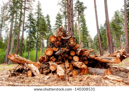 Clear cut area of a forest has a stack of timber