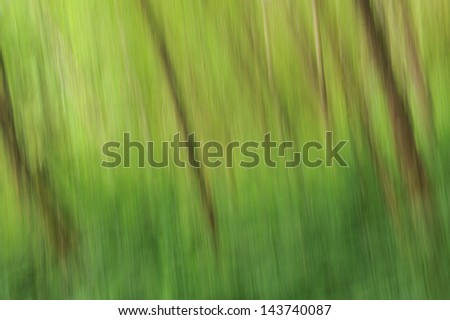 An abstract forest of trees with a green gradient