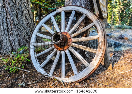 Old wheel from a covered wagon leans against a pine tree