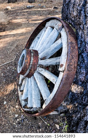 Old wheel from a covered wagon leans against a pine tree