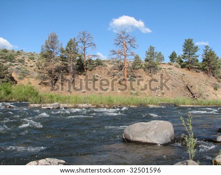 River flows by bank with pine trees and clouds in sky