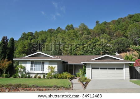 House with grass and bushes for landscaping