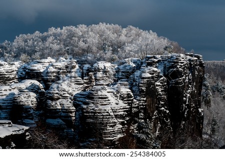 Completely frozen forest growing up on the rocks, Czech Republic