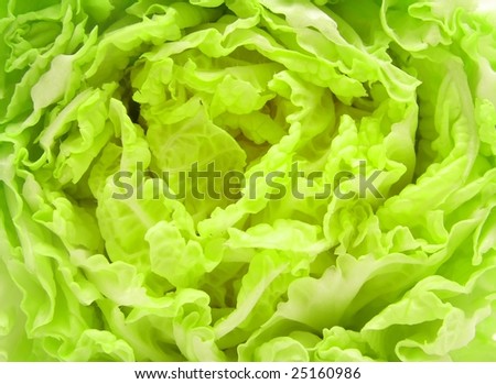 green leaves salad background