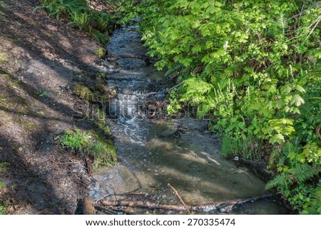 Seahurst Park Stream\
\
A stream flows toward the Puget Sound at Seahurst Park in Washington State.