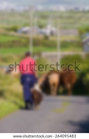 Man with dog walking behind herd of cows on village Irish road. Post processed with blur effect.
