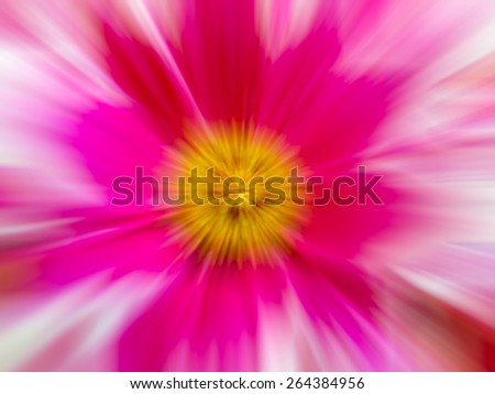 Abstract flower with motion blur, Abstract colourful background