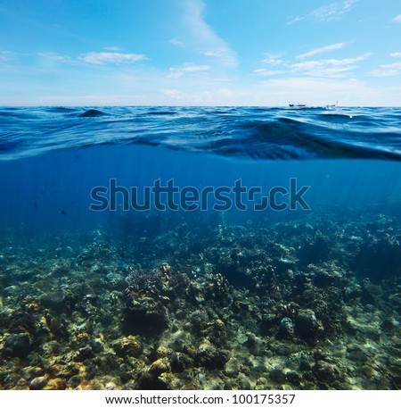 Underwater shoot of  coral reef combined with sea surface with waves and blue sky