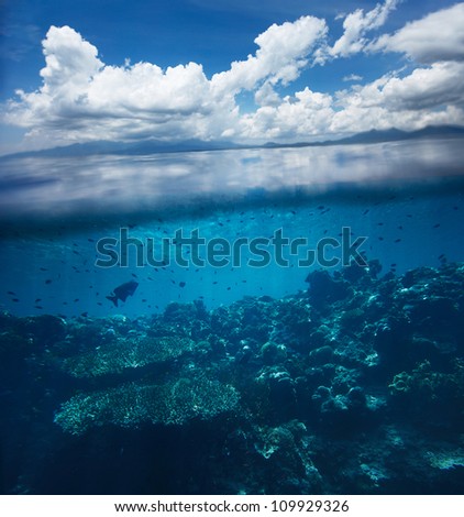 Collage of underwater coral reef and sea surface and cloudy sky