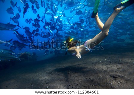 Young woman fining on depth with a school of Jack Fish on a breath hold