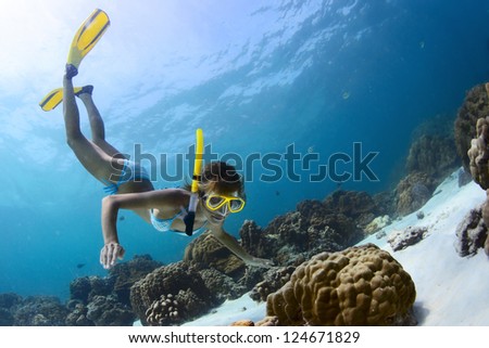 Young lady snorkeling in a tropical sea with yellow fins