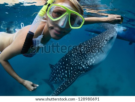 Close up underwater shoot of a young lady snorkeling with gigantic whale shark