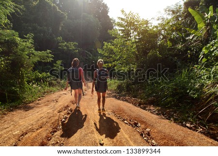 Hikers with backpacks walking on rural road with trees on sides
