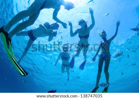 Group Of Friends Snorkeling In A Tropical Sea