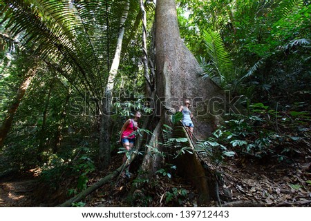 Two young ladies standing by a huge tree in tropical forest