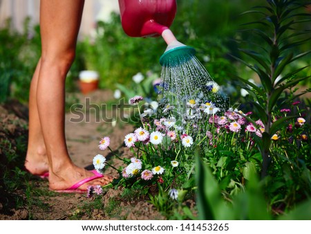 Lady watering flowers in a green garden