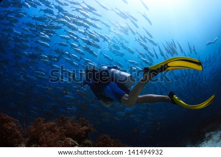 Scuba diver finning towards school of Jack fish in a tropical sea