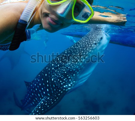 Young lady snorkeling with whale shark
