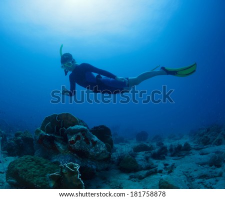Free diver gliding on the depth in tropical sea