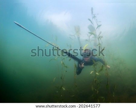 Underwater shot of the lady diving with spear gun using breath hold
