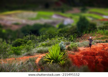 Local barefoot man carrying stuff in valley with red soil. Madagascar