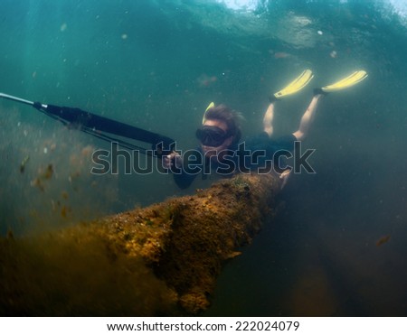 Young lady spearfishing in the pond using breath hold