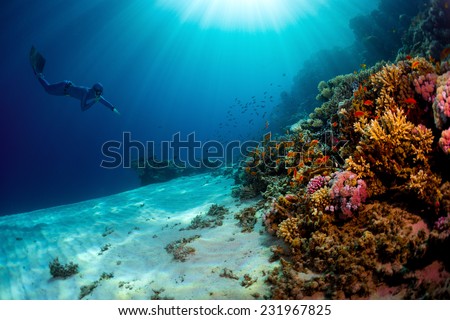Lady free diver swimming underwater towards vivid coral reefs