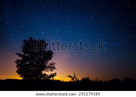 Starry sky and tree. High level of noise
