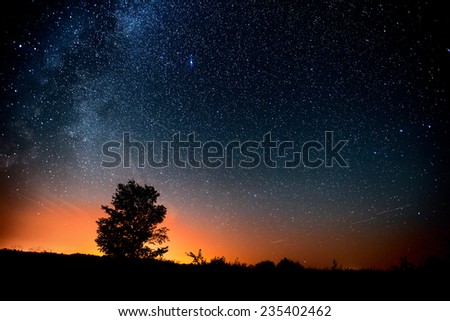 Starry sky and tree. High level of noise