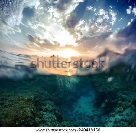 Split shot of the coral reef underwater and bright clouds in the sky during sunset