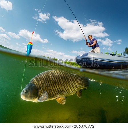 Carp rod Images - Search Images on Everypixel