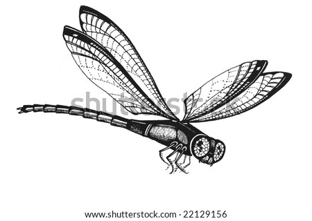 dragonfly clipart black and white. lack and white dragonfly