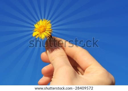 Flower in hand with light beams