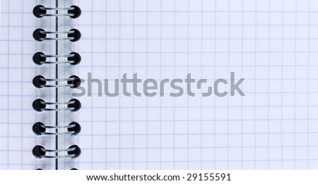 Blank slim notebook page