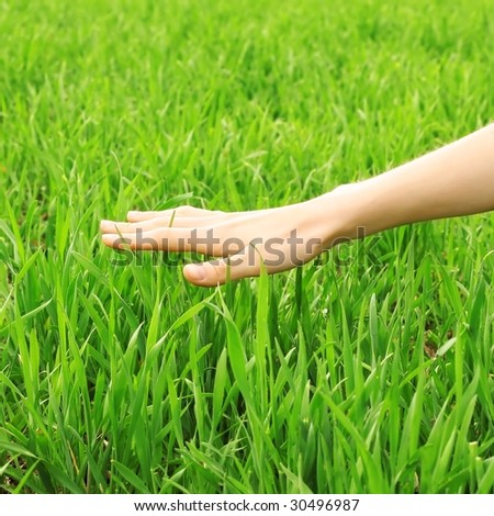 Hand over green grass