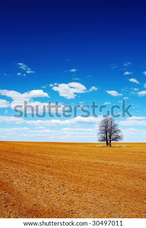 Dry land and alone tree
