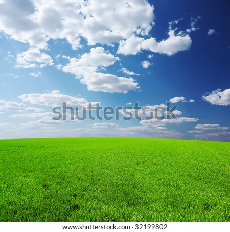 blue sky green grass. stock photo : Green grass blue