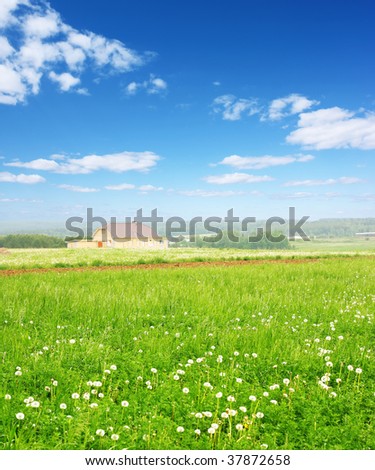 Green meadow with alone house