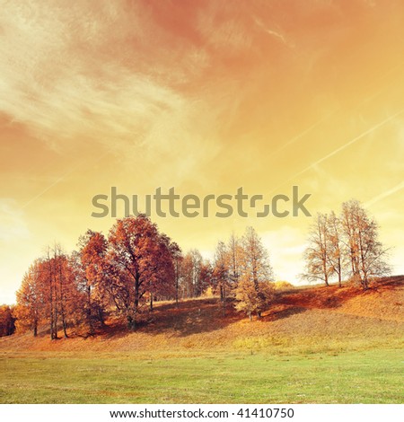 Autumn trees on hill with abstract yellow sky