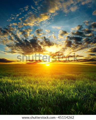 Sunset Over Field With Green Grass Stock Photo 45114262 Shutterstock