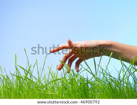 Hand above wet green grass over blue background