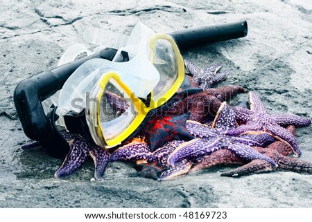 Starfishes on rock near diving mask