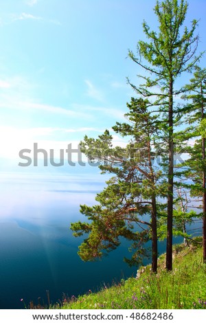 Larch on a hill near the lake in the blue sky