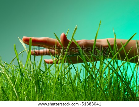 Hand over green wet grass over green background