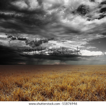 Storm clouds with rain over meadow with yellow grass