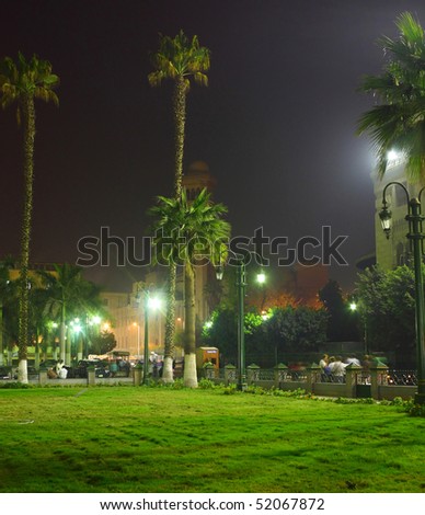 Night view of lawn with green grass in city