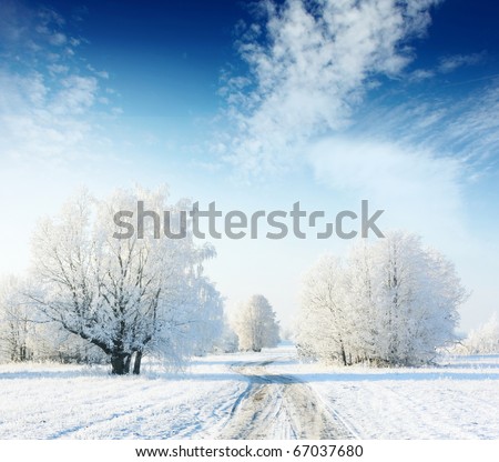 Frozen trees in field with road and blue sky with clouds